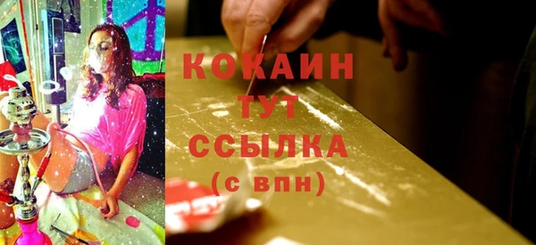 крисы Аркадак